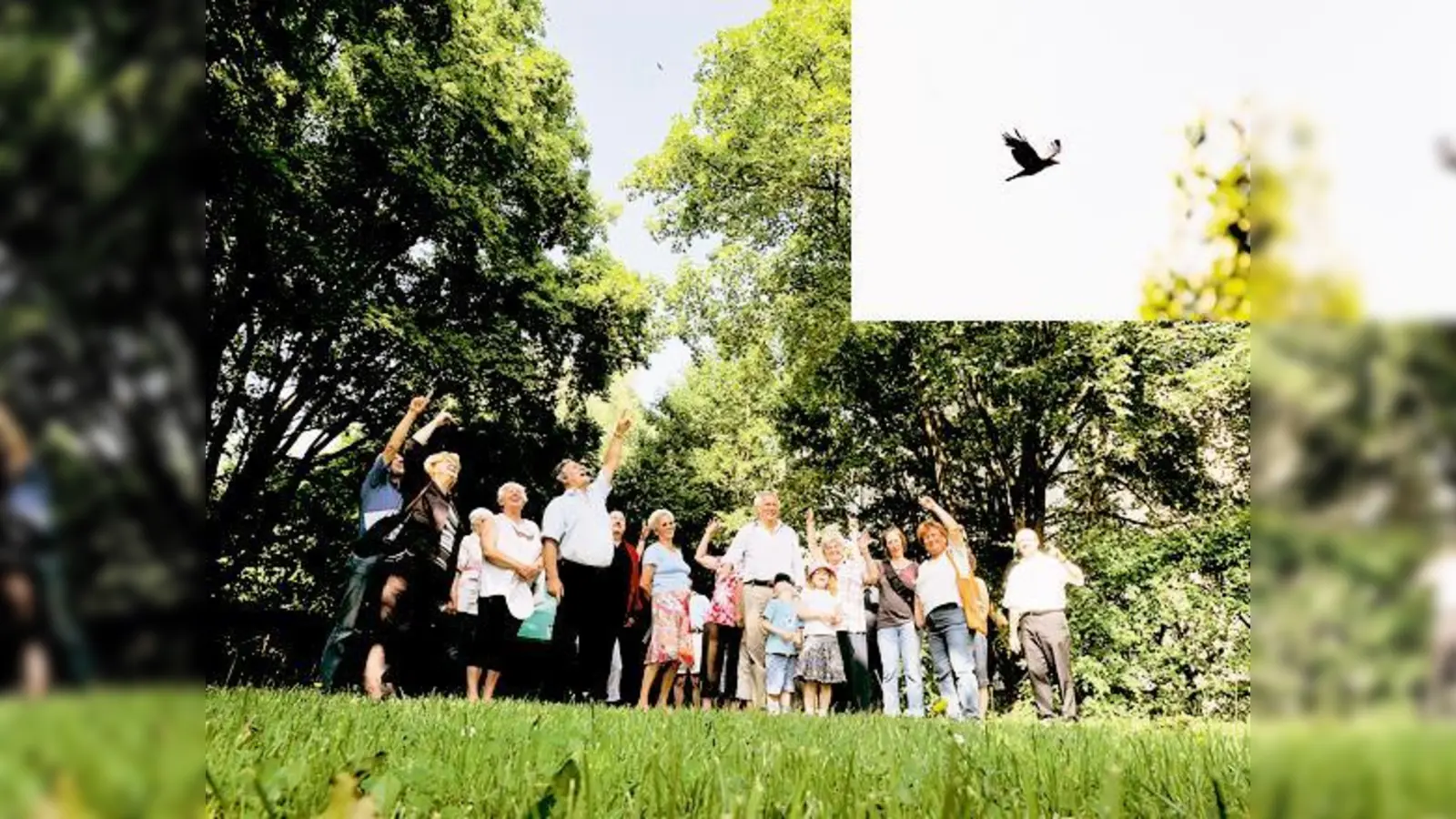 Manchen Ottobrunnern sind die Krähen ein Dorn im Auge, aber viele freuen sich über die Anwesenheit der intelligenten Vögel.  Fotos  ((2): Schunk)