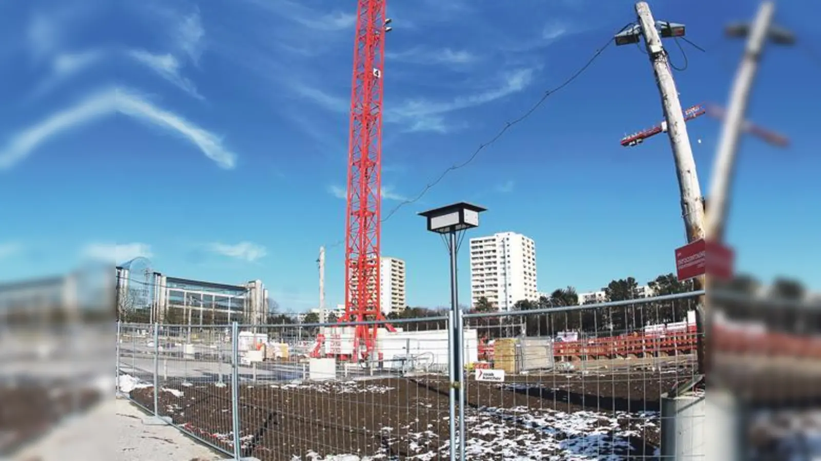 Die Vögel sollen trotz der umfangreichen Baumaßnahmen am Hanns-Seidel-Platz bleiben	 (Foto: RedN)