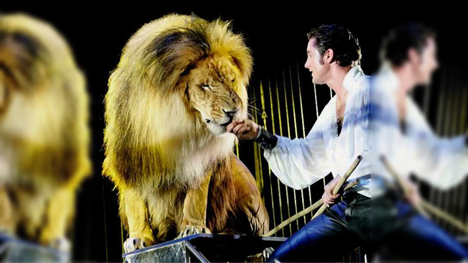 Beeindruckend: Superstar Martin Lacey jr. mit einem seiner Löwenfreunde (Foto: Circus Krone)