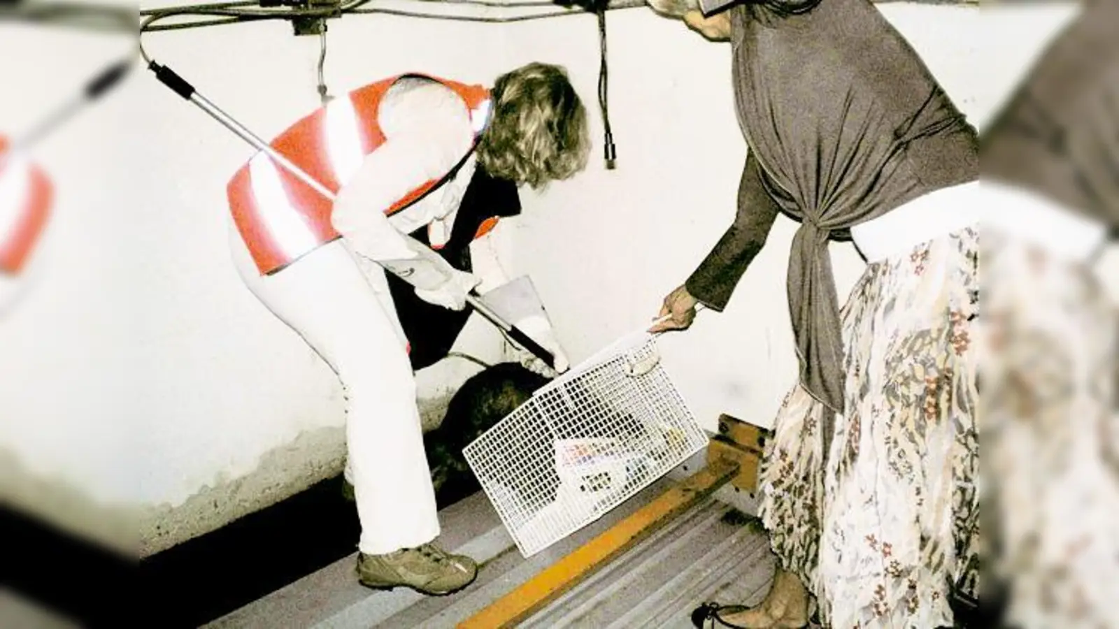 Tierärztin Birgit Schwartmann bei der nächtlichen Biber-Rettung. 	 (Foto: Aktion Tierrettung)