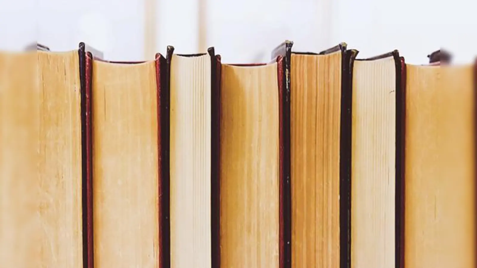 Tausende von Büchern in allen möglichen Kategorien gibt es am 13. Mai im Familienzentrum Poing.	 (Foto: CC0)