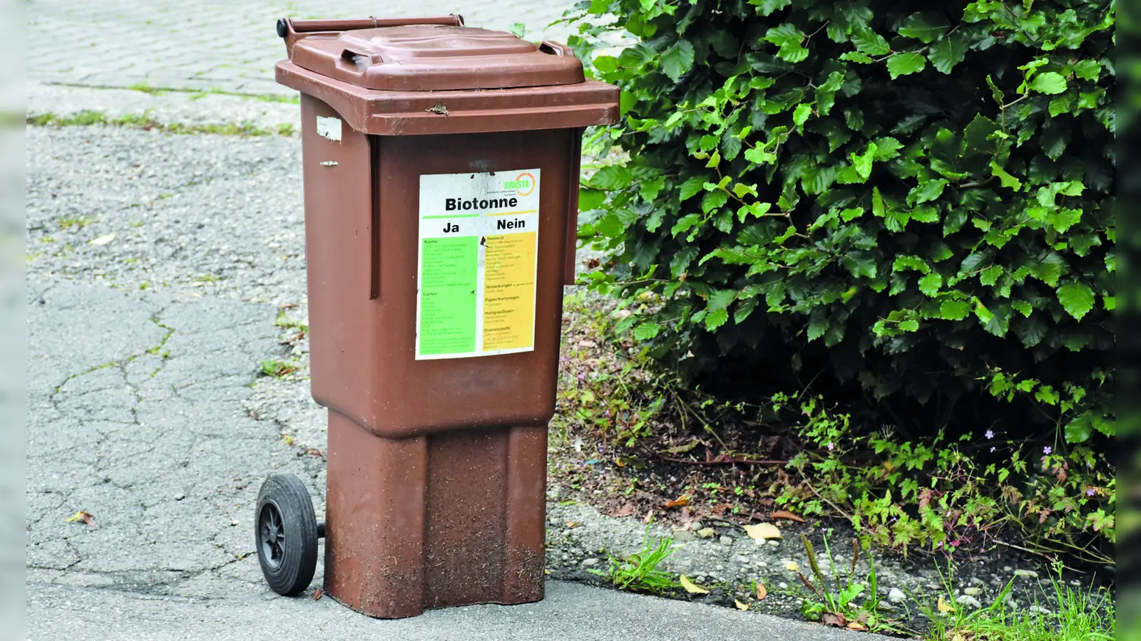 Biotonne der AWISTA. (Foto: Hauck)