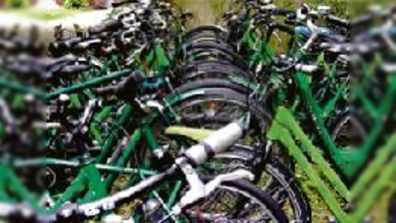 Kunst-Installation: Grüne Fahrradflotte vor der Kreuzkirche.  (Foto: VA)