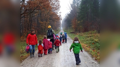 Dreimal die Woche fahren die Kinder des Naturkindergartens Haidhausen mit der Tram in den Perlacher Forst. Sonst sind sie in den Maximiliansanlagen unterwegs. (Foto: privat)