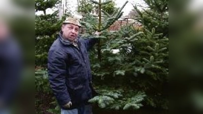 Der lustigste Verkäufer mit den schönsten Tannen: Peter Kreissel und seine »Baam« genießen Kultstatus.	 (Foto: ba)