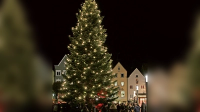 Bürger wünschen sich mehr Weihnachtsstimmung und dafür einen Christbaum am Romanplatz. (Archivbild: mka)