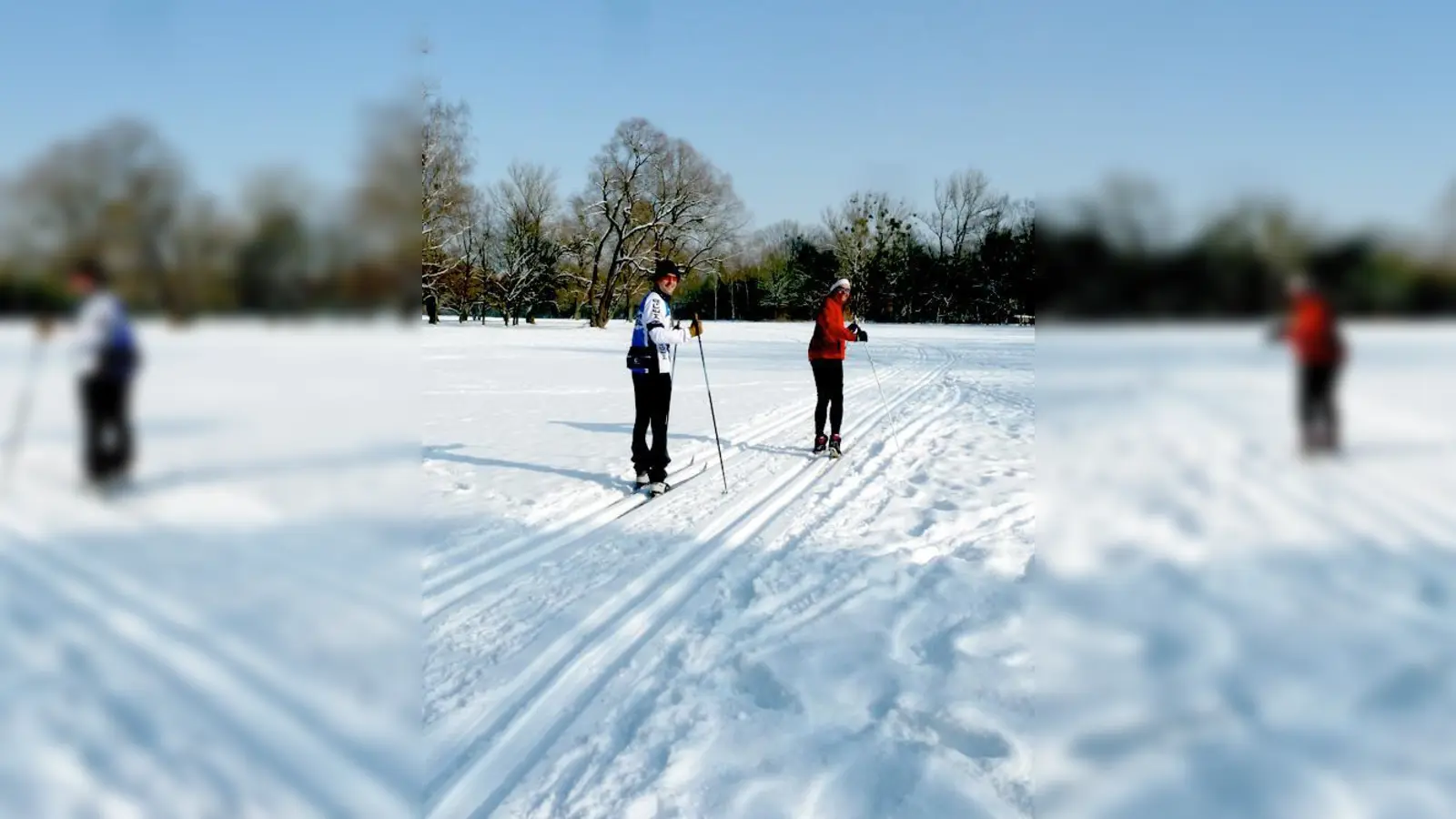 Langlauf mitten in München  kein Problem mit der frisch gespurten Loipe im Englischen Garten.  (Foto: ©Bayerische Schlösserverwaltung)