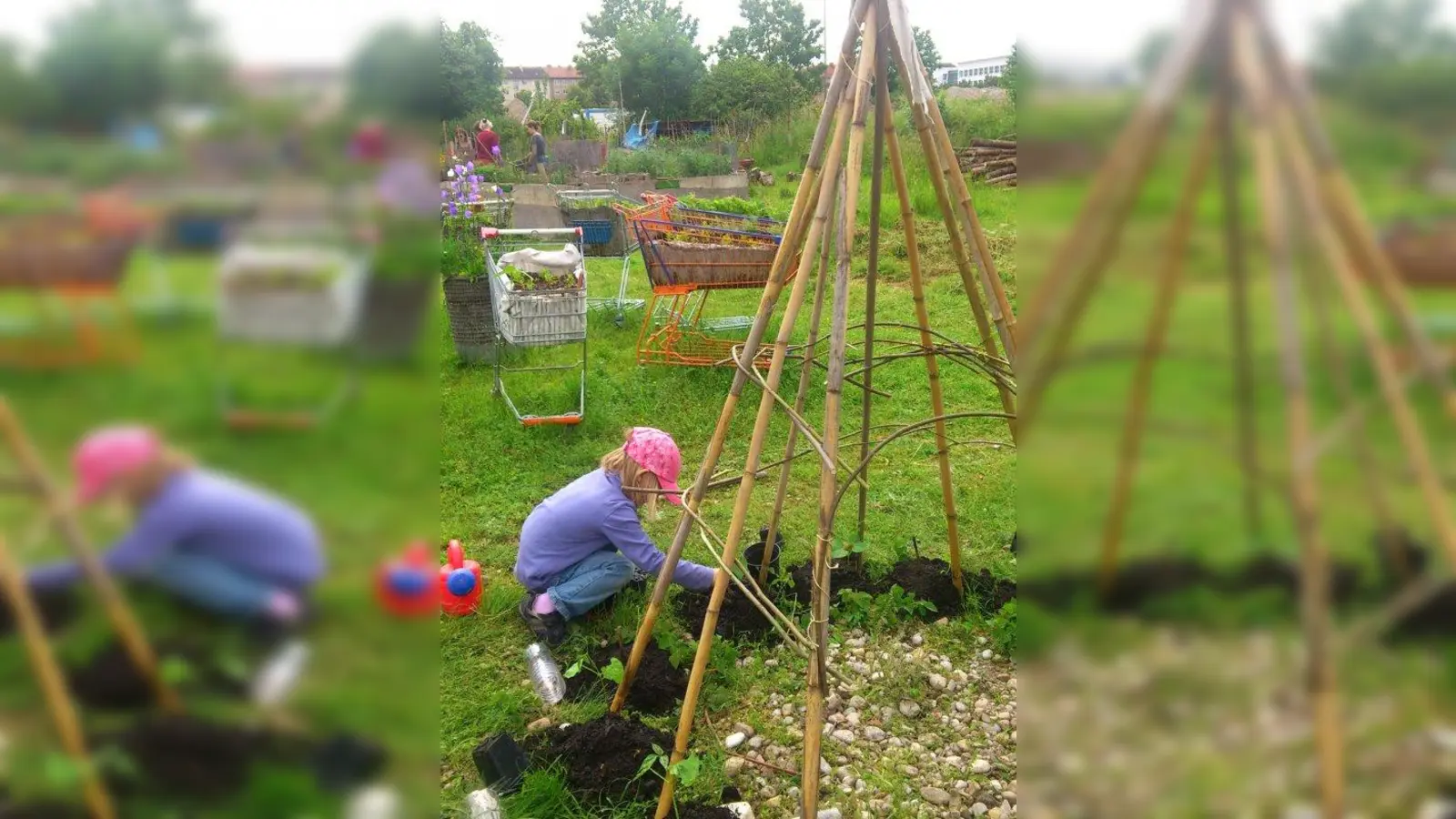 Das Bohnentipi ist eine Neuerung im Gemeinschaftsgarten. (Foto: pi)