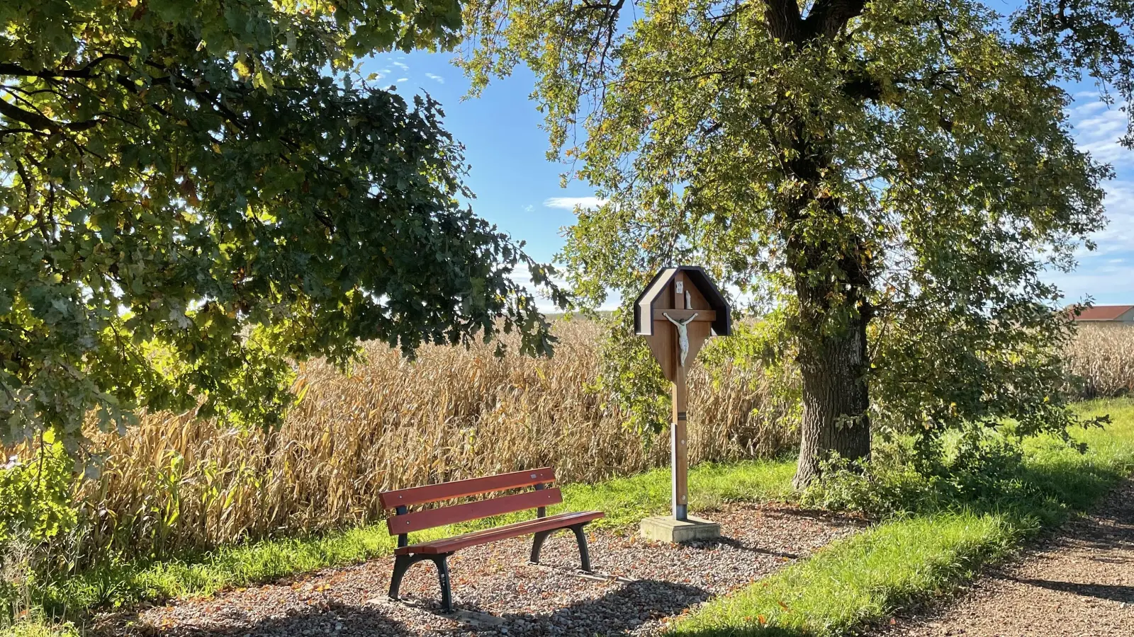 Zwischen zwei mächtigen Eichen steht das Holzkreuz an der Straße nach Germannsberg. Es wurde vor zehn Jahren aus Dankbarkeit für eine Geburt errichtet. Die Gemeinde hat dazu eine Sitzbank aufgestellt.  (Foto: pst)