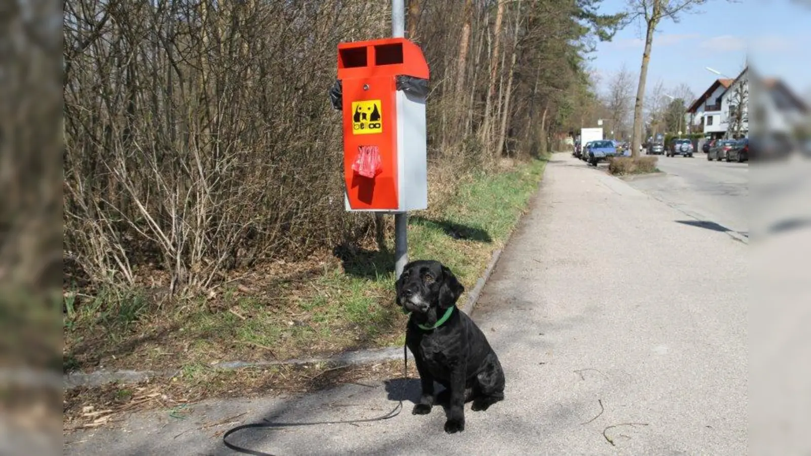 Söckchens Herrchen haben bei der DNA-Analyse nichts zu befürchten. Sie entsorgen die Hinterlassenschaften ihres Hundes stets ordnungsgemäß. (Foto: hö)