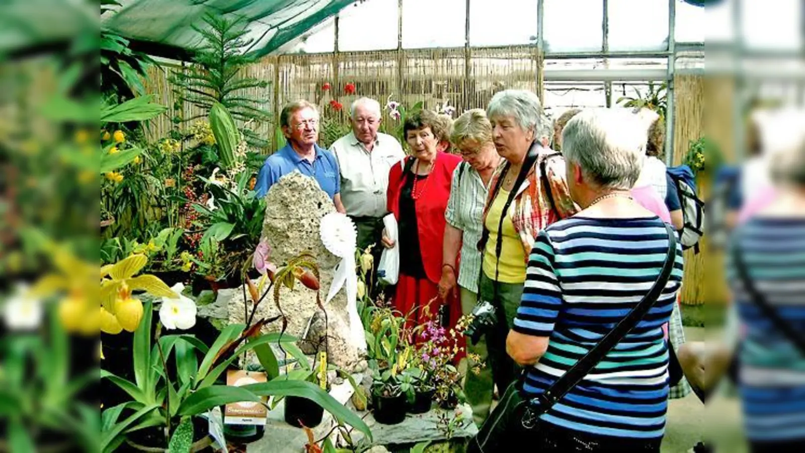 Orchideen vor allem haben die Kirchseeoner Gartler bei ihrem Ausflug zum Züchter bewundert.	 (Foto: Verein)
