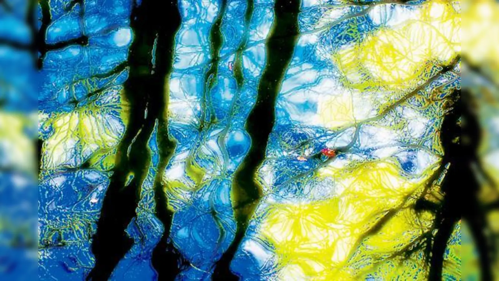 »Stille« ist der Titel dieses beeindruckenden Bildes von Rose-Muanna Götz.	 (Foto: Privat)