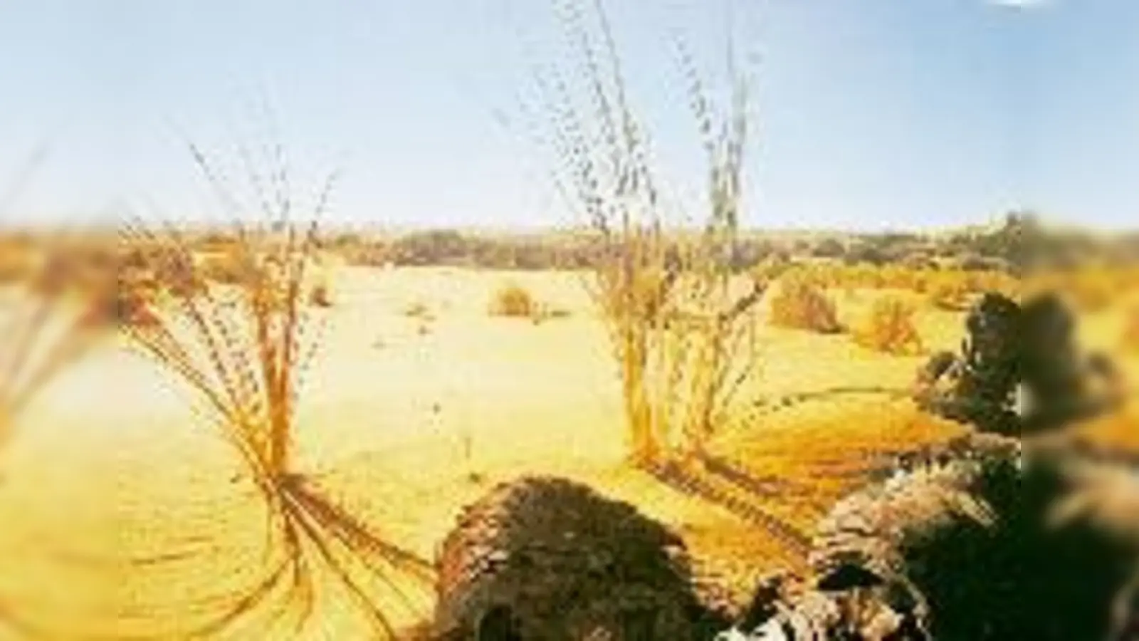 Nach Namibia führt am 11. Januar die Filmreise, die von der AG Moosach präsentiert wird.	 (Foto: Privat)