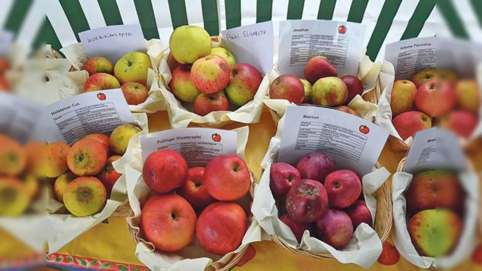Jede Menge Äpfel, spannende Geschichten und Aktionen zum Mitmachen und Ausprobieren erwarten die Besucher an diesem Sonntag.	 (Foto: VA)