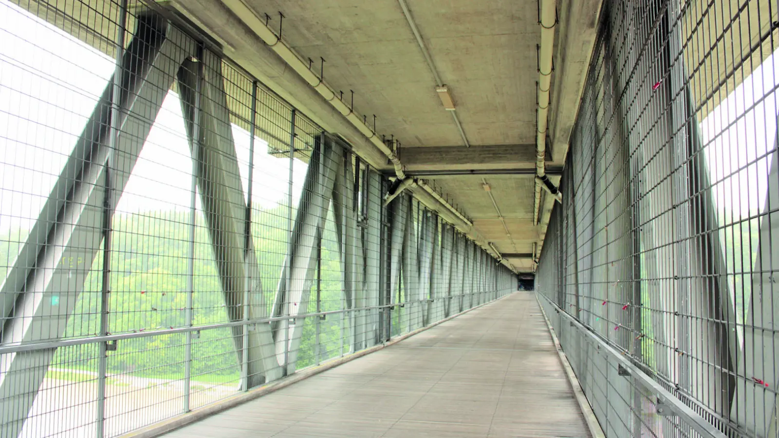 Von der Maximiliansbrücke im Lehel bis zur Großhesseloher Brücke (Foto) erstrecken sich die Gehölzpflege-Maßnahmen der Stadt. (Archivbild: job)