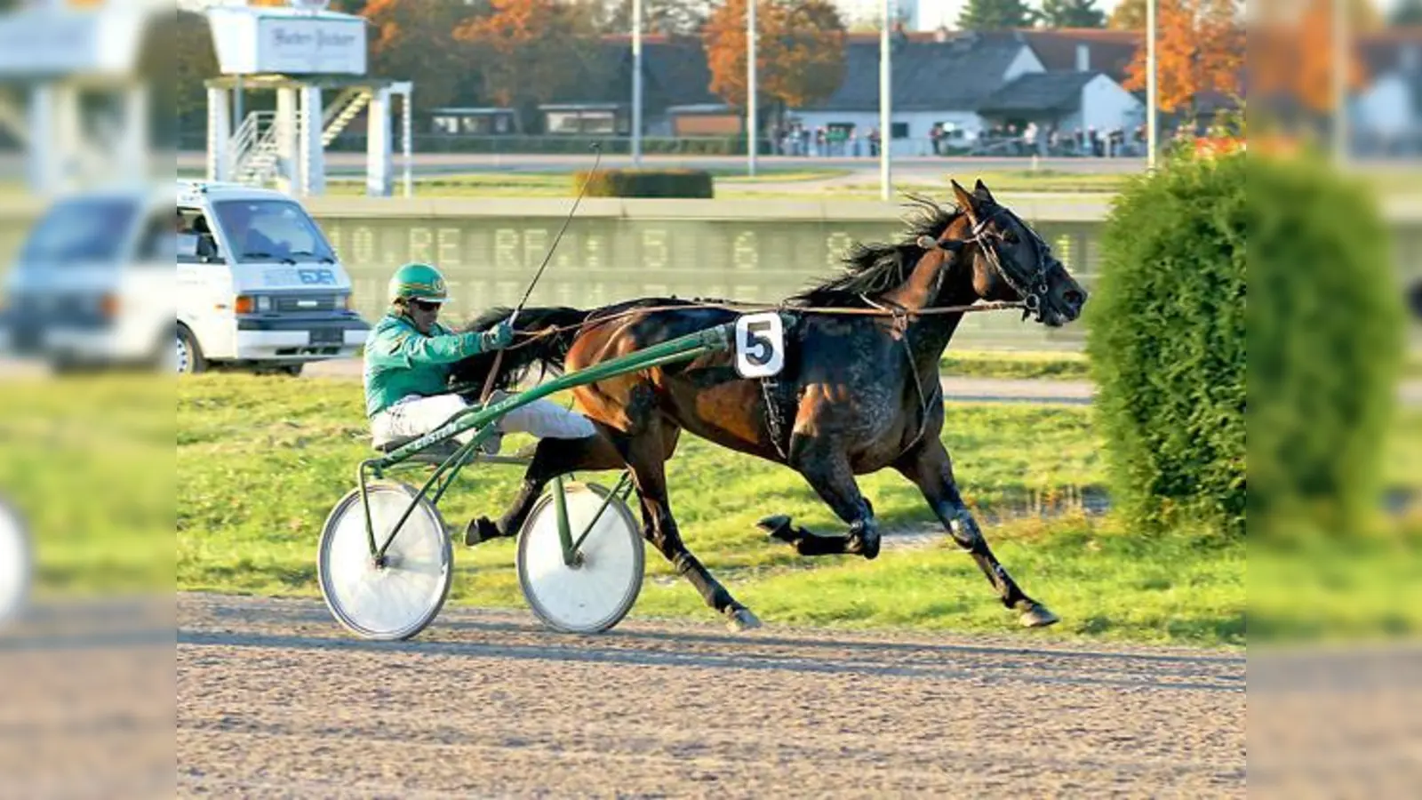 In bestechender Form: Die Stute Almasi mit ihrem Trainer Helmut Biendl im Sulky.	 (Foto: Privat)
