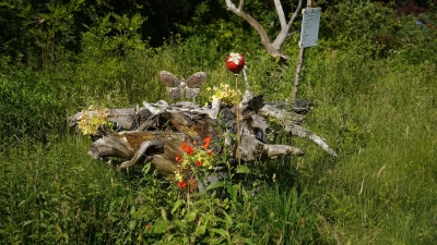 Ein idyllischer Naturgarten in Wartaweil mit Schwemmholz aus dem Ammersee. (Foto: Heiner Putzier)