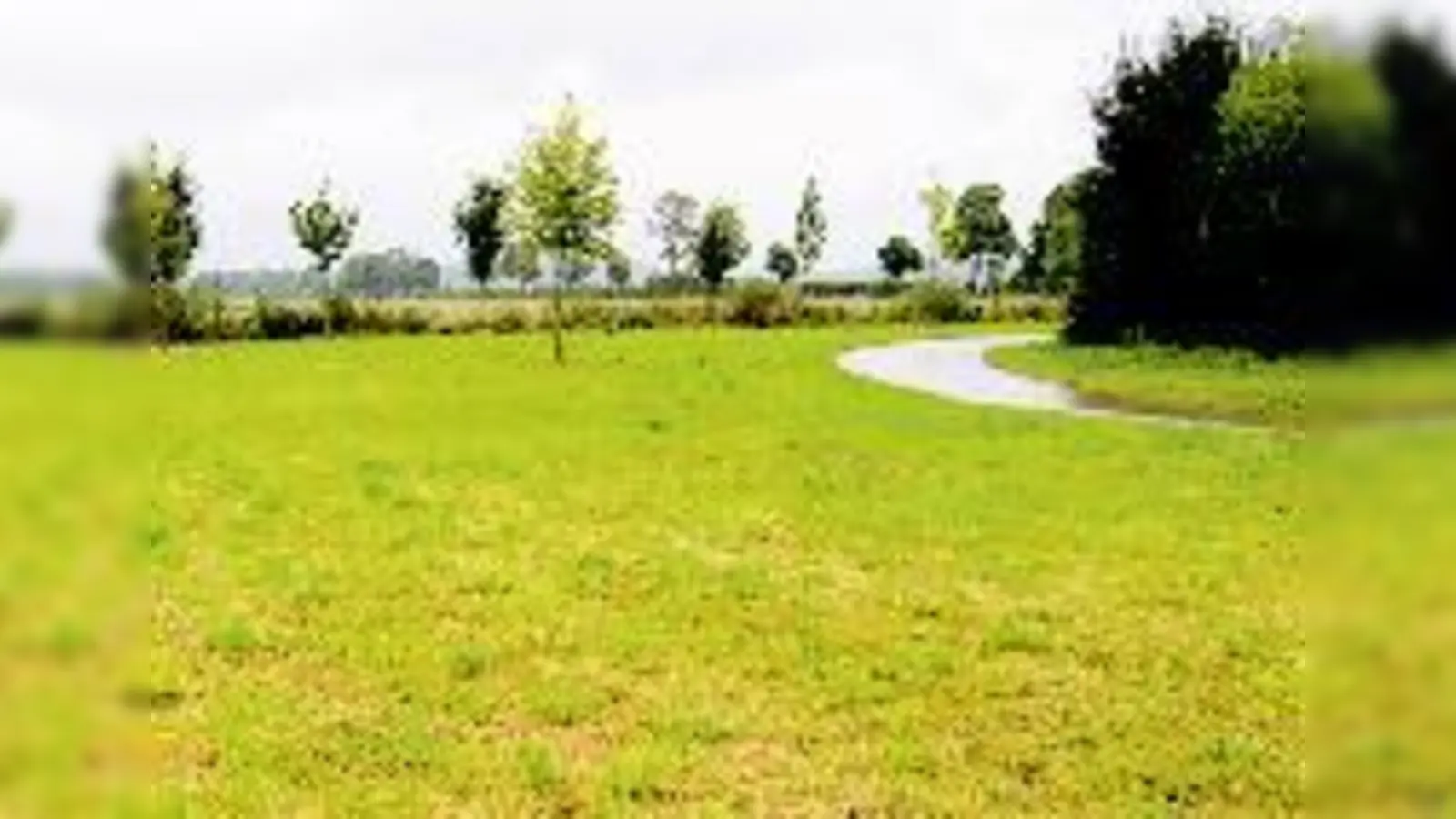 Noch dieses Jahr sollen hier in Lochhofen die ersten Spielgeräte gebaut werden.  (Foto: A. Pietsch)