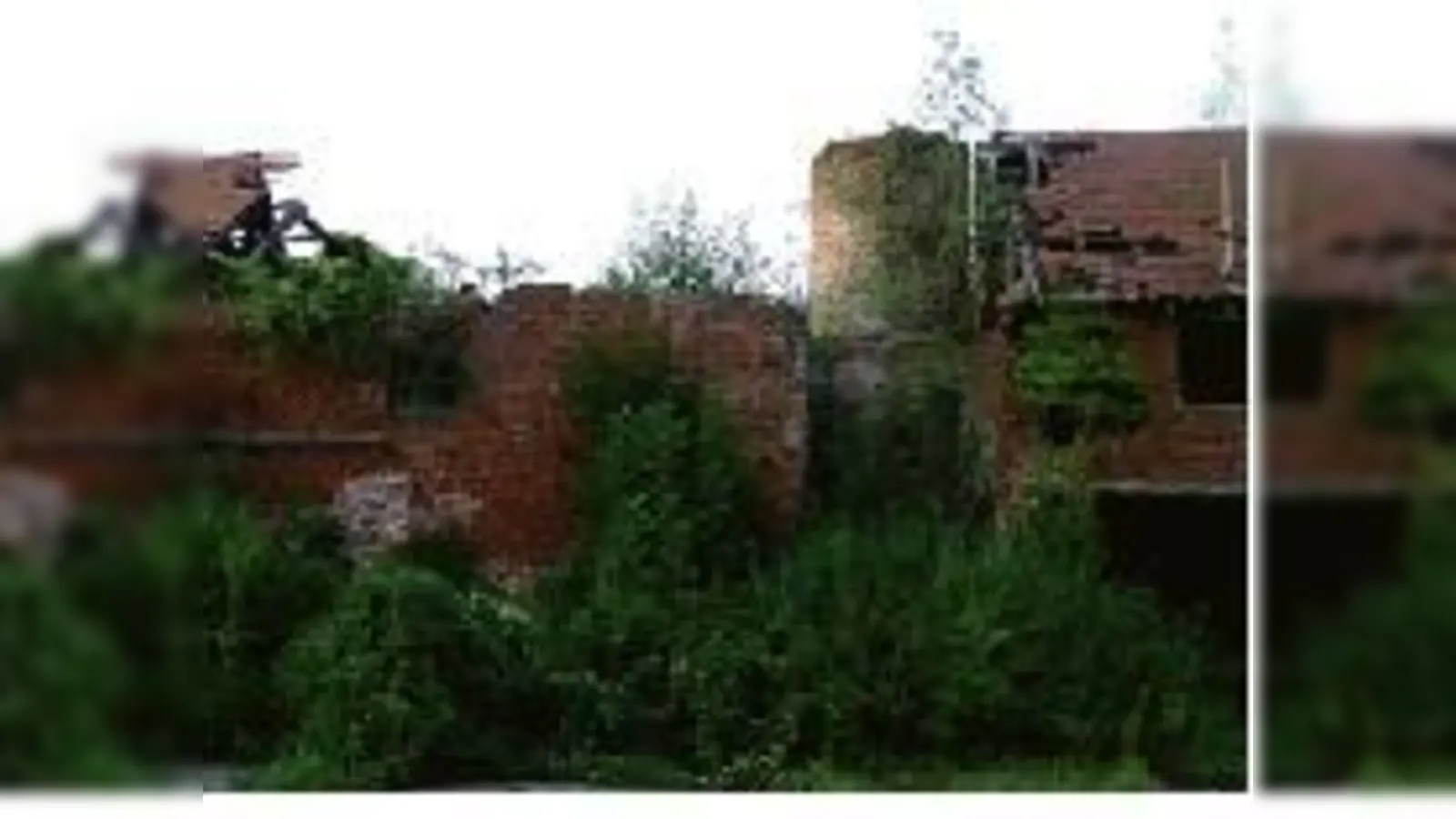 Verfallene Ruinen erinnern an vergangene Zeiten des Lehmabbaus im Münchner Osten.	  (Foto: Volkverlag)