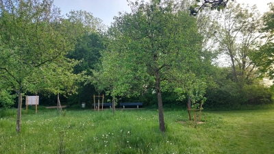 Der Michaelianger in Berg am Laim: Hier findet am 28. Juni ein Klimaspaziergang statt. (Foto: bas)
