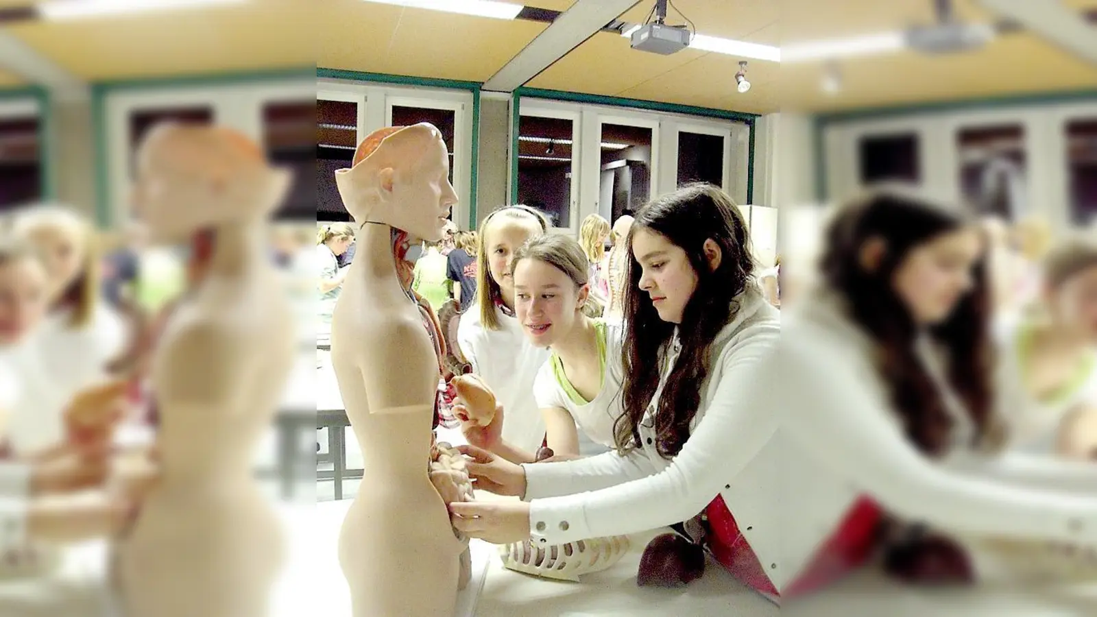 Bei der MINT-Nacht lernen die Mädchen an Modellen das innere des Menschen kennen.	 (Foto: privat)