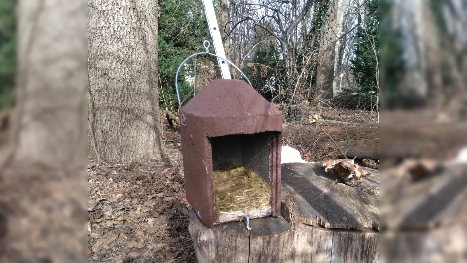 Bevor die Brutsaison endgültig startet, müssen die Nistkästen von den alten Nestern gesäubert werden. Kehrbesen und Müllsack reichen dafür aus. (Foto: Stefan König/BN)