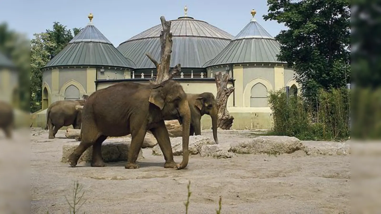In den 70er-Jahren wurde das beliebte Elefantenhaus in Hellabrunn gebaut.  (Foto: Tierpark Hellabrunn)