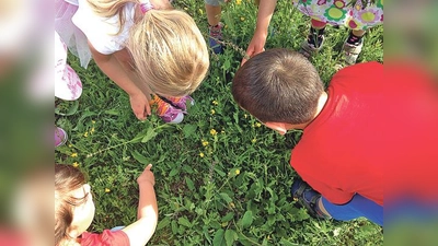 Gemeinsam mit anderen Kindern alles Wissenswertes über die Pflanzenwelt im Sommer erfahren	 (Foto: VA)