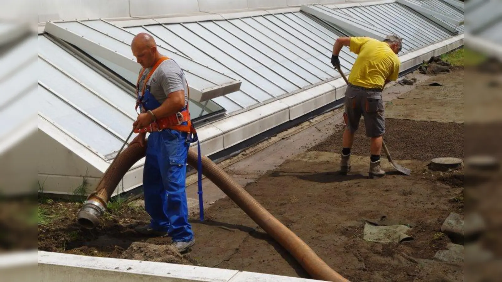 Die Arbeiten am undichten Dach der Laimer Stadtbibliothek haben bereits begonnen. Ab 2. Juli schließt die Bibliothek wegen Sanierung. (Foto: kö)