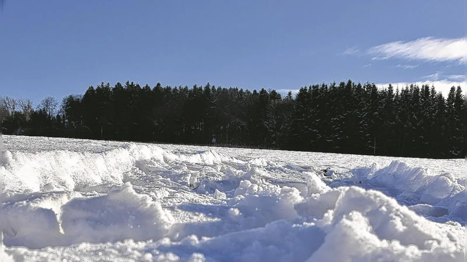 Der Winter kann kommen: Auf dem Ski-Basar des TSV UG finden Wintersportler alles, was sie brauchen. (Foto: Huss-Weber)