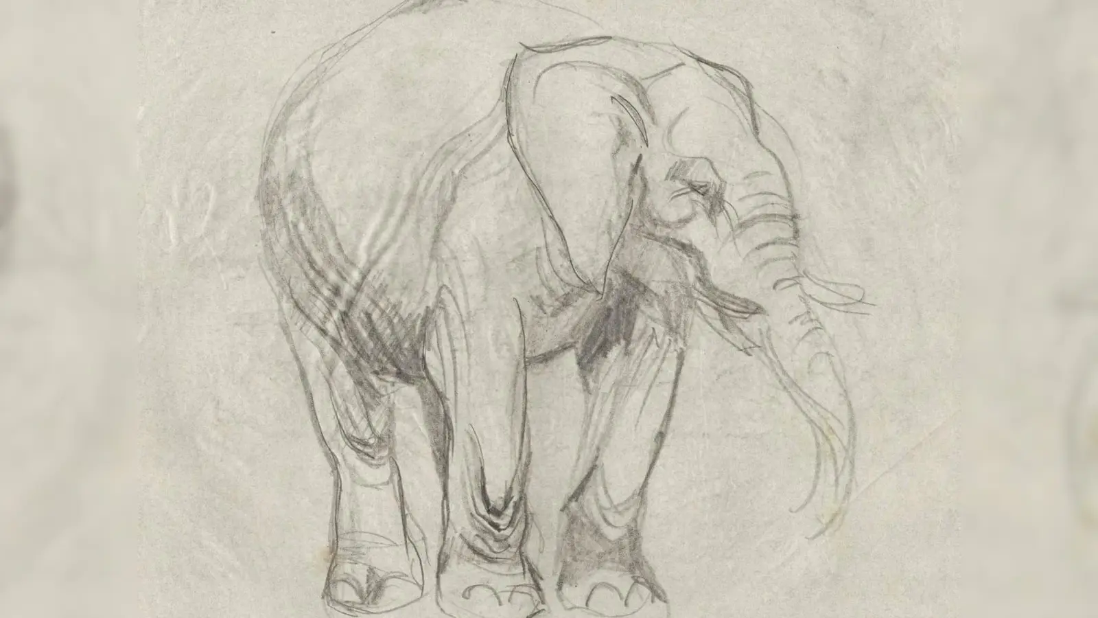 Dieser Elefant aus dem Skizzenbuch Franz Xaver Stahls entstand um 1921. (Foto: Museum Franz Xaver Stahl)