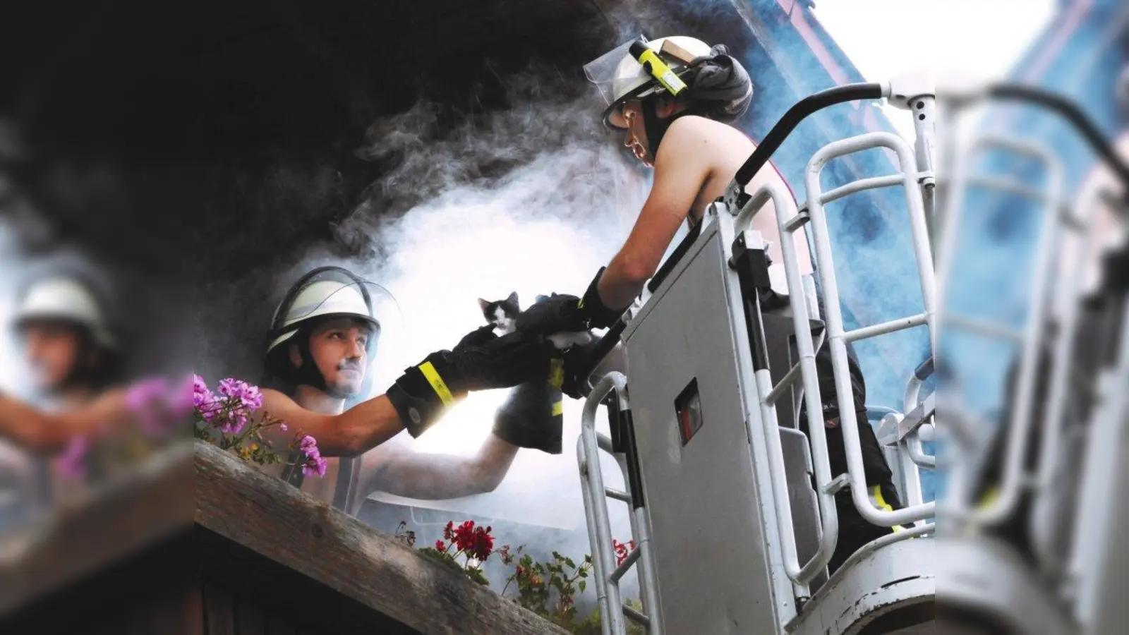 Kätzchen retten - natürlich ist das nicht die Hauptbeschäftigung der Feuerwehrleute, kommt aber auch mal vor. (Foto: Claudia Köppel)