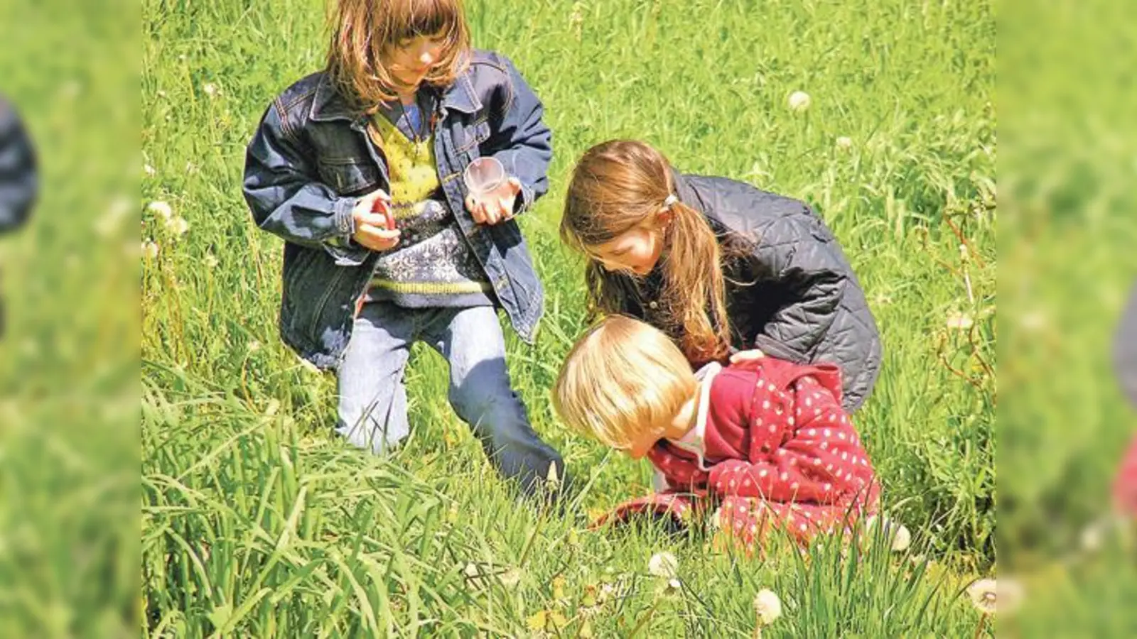 Mit dem Kescher auf Entdeckungstour im Wiesendschungel.  (Foto: VA)