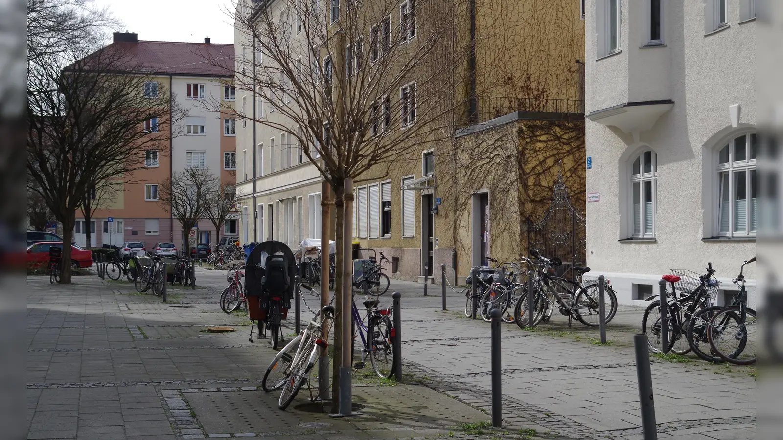 In der Schnaderböckstraße schlagen junge Bäumchen Wurzeln und werden schon zum Anlehnen von Rädern genutzt. (Foto: Beatrix Köber)