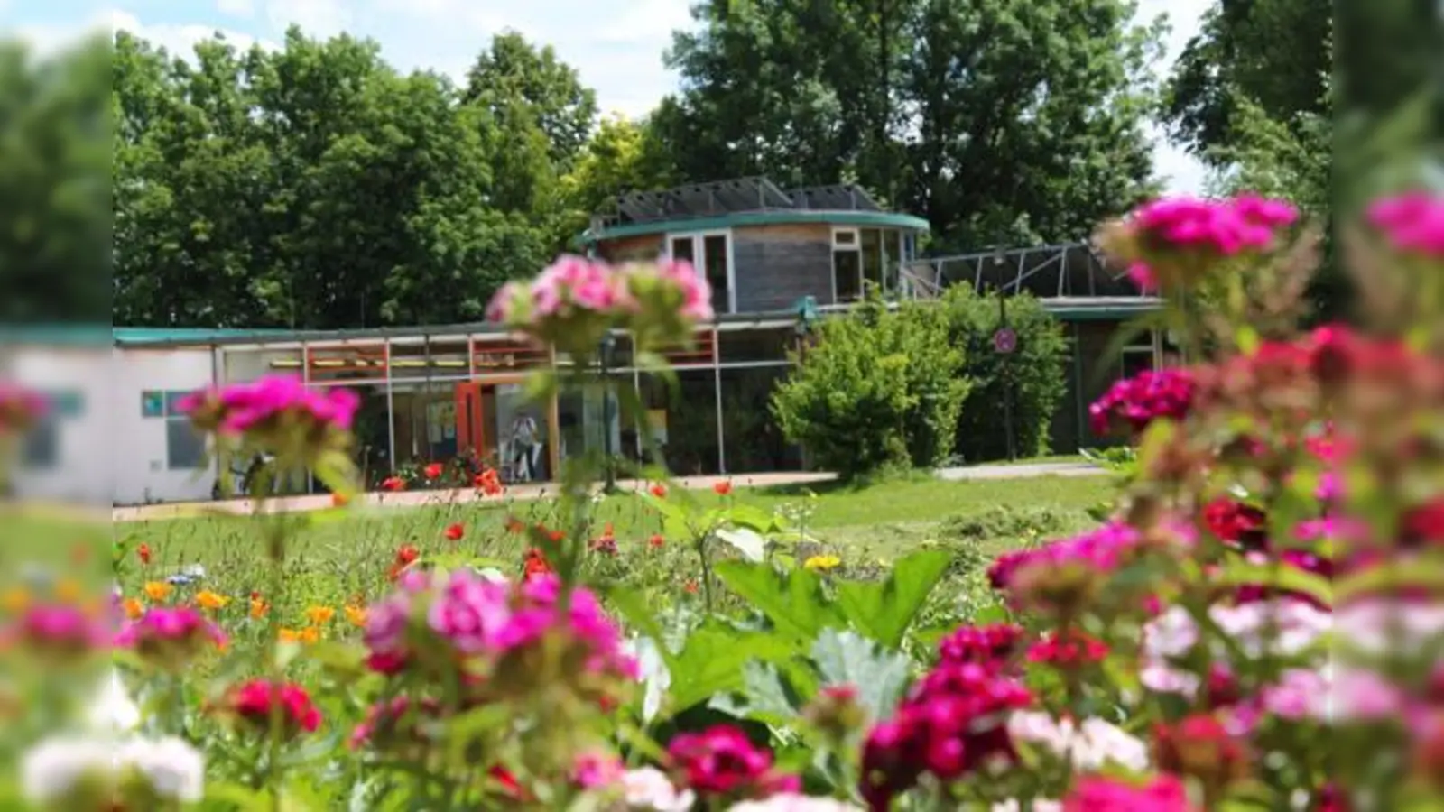 Um die Königin der Blumen geht es am 8. September in der ÖBZ.	 (Foto: VA)