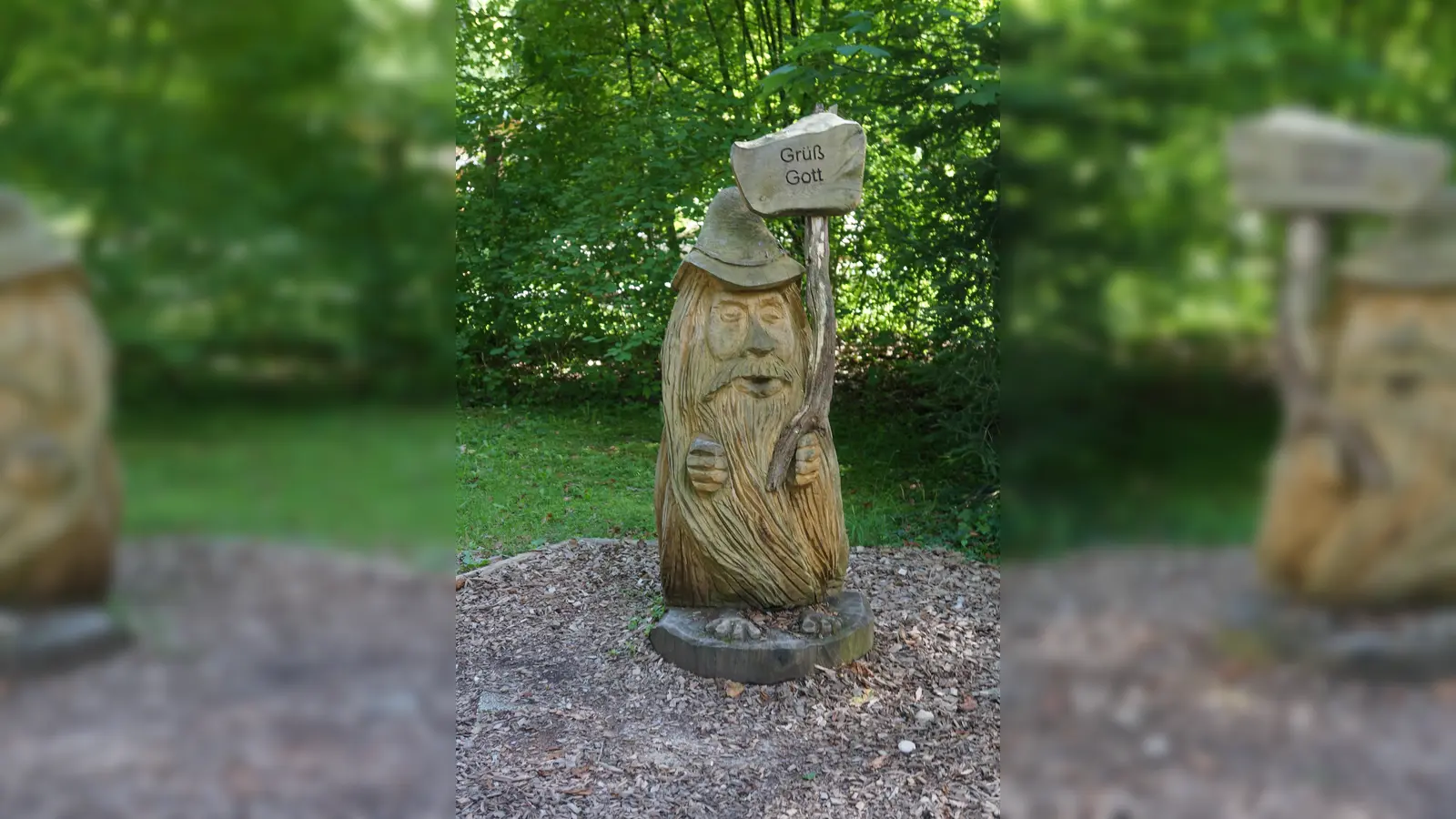 Im Walderlebniszentrum Grünwald gibt es die Möglichkeit ein Freiwilliges Ökologisches Jahr zu absolvieren. (Foto: hw)