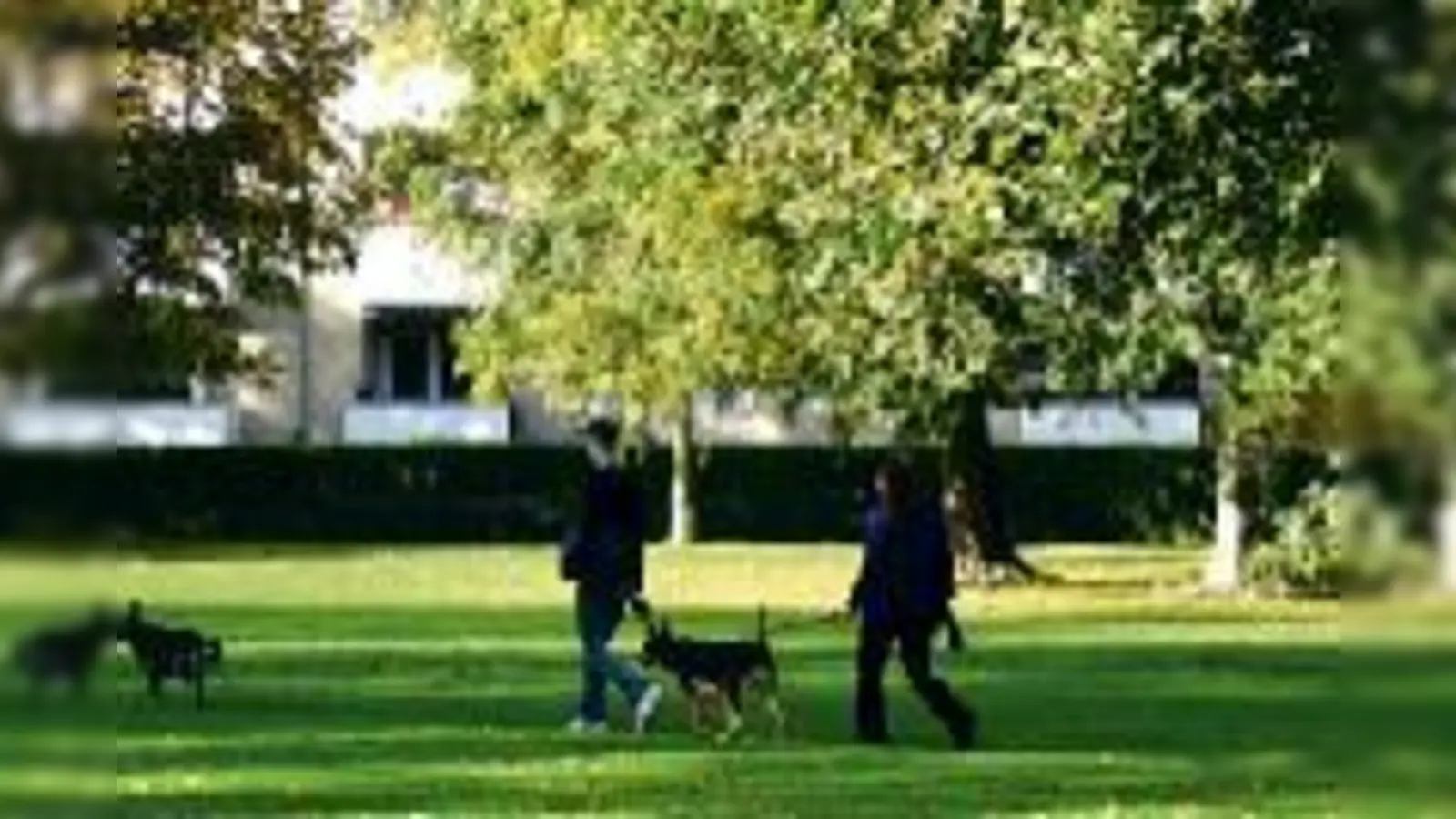 Der Piusplatz muss schöner werden  darüber sind sich Anwohner, Stadt und GEWOFAG einig. Kürzlich wurden die Planungen vorgestellt.	 (Foto: js)
