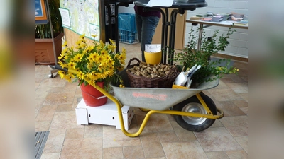 In den Gärten des ÖBZ wächst seit Jahren viel Topinambur – und das absolut „bio“. Besucher dürfen am Sonntag selbst Knollen ausgraben. (Foto: VA)