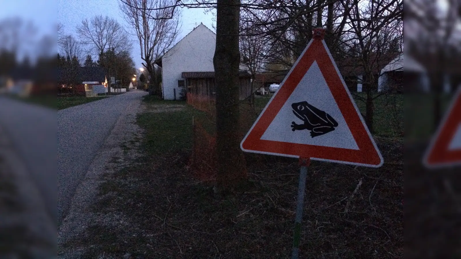 Die regnerischen Nächte der vergangenen beiden Wochen haben Frösche, Erdkröten und Molche vielerorts für die Wanderung zu ihren Laichgewässern genutzt. (Foto: dm)