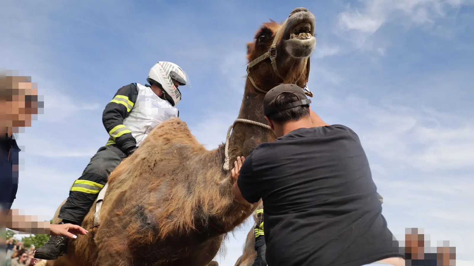  Mit Motorradhelm und in Uniform: Die Feuerwehr veranstaltete das umstrittene Rennen. (Foto: Animal Rebellion)
