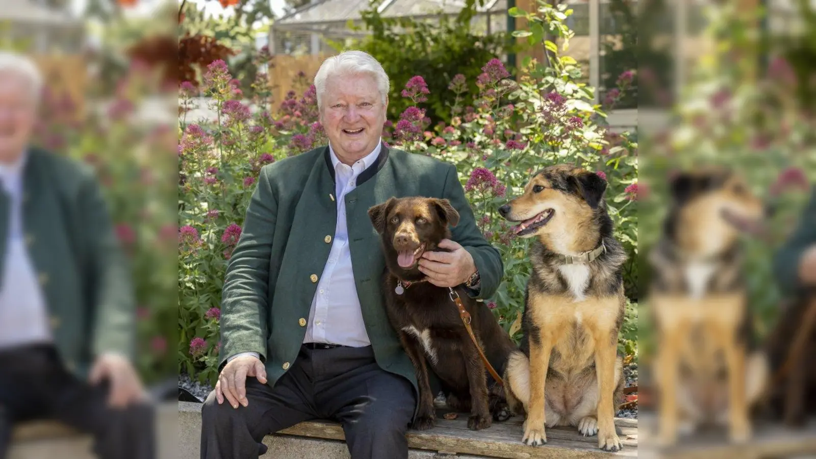 Kurt Perlinger, Vorstandsvorsitzender des Tierschutzvereins München, stellt die neue Homepage vor. (Foto: Tierschutzverein München)