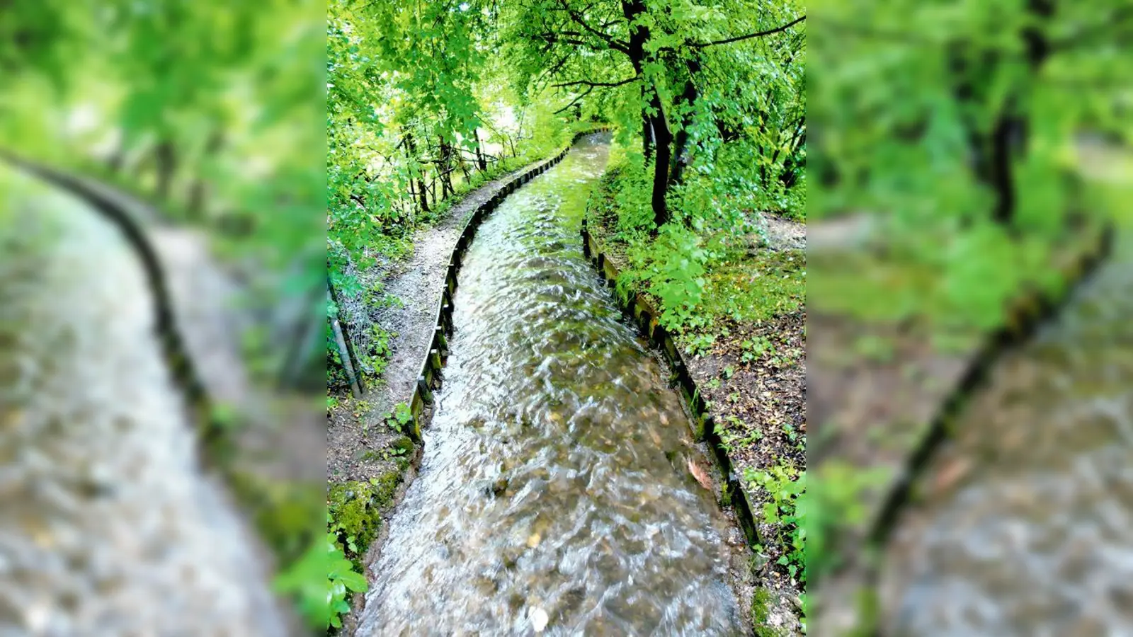 Droht dieser Bach mit Hochwasser? Der Hachinger Bachs im Bereich Nabburger-Straße.	 (Foto: aha)