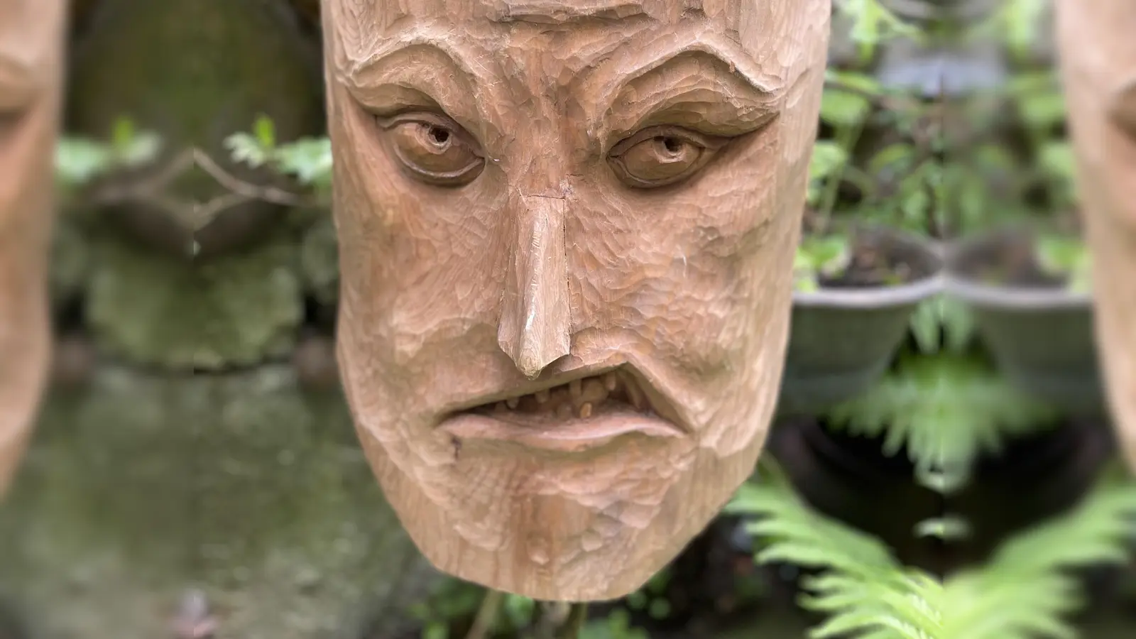 Wie man seine Resilienz stärken kann, erfährt man am 23. Oktober in einem Online-Vortrag. (Foto: hw)