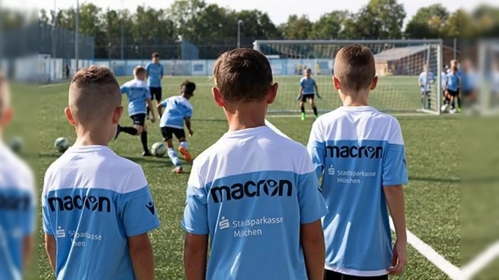 Erneuerungsfähig: Junglöwen.  (Foto: Anne Wild)