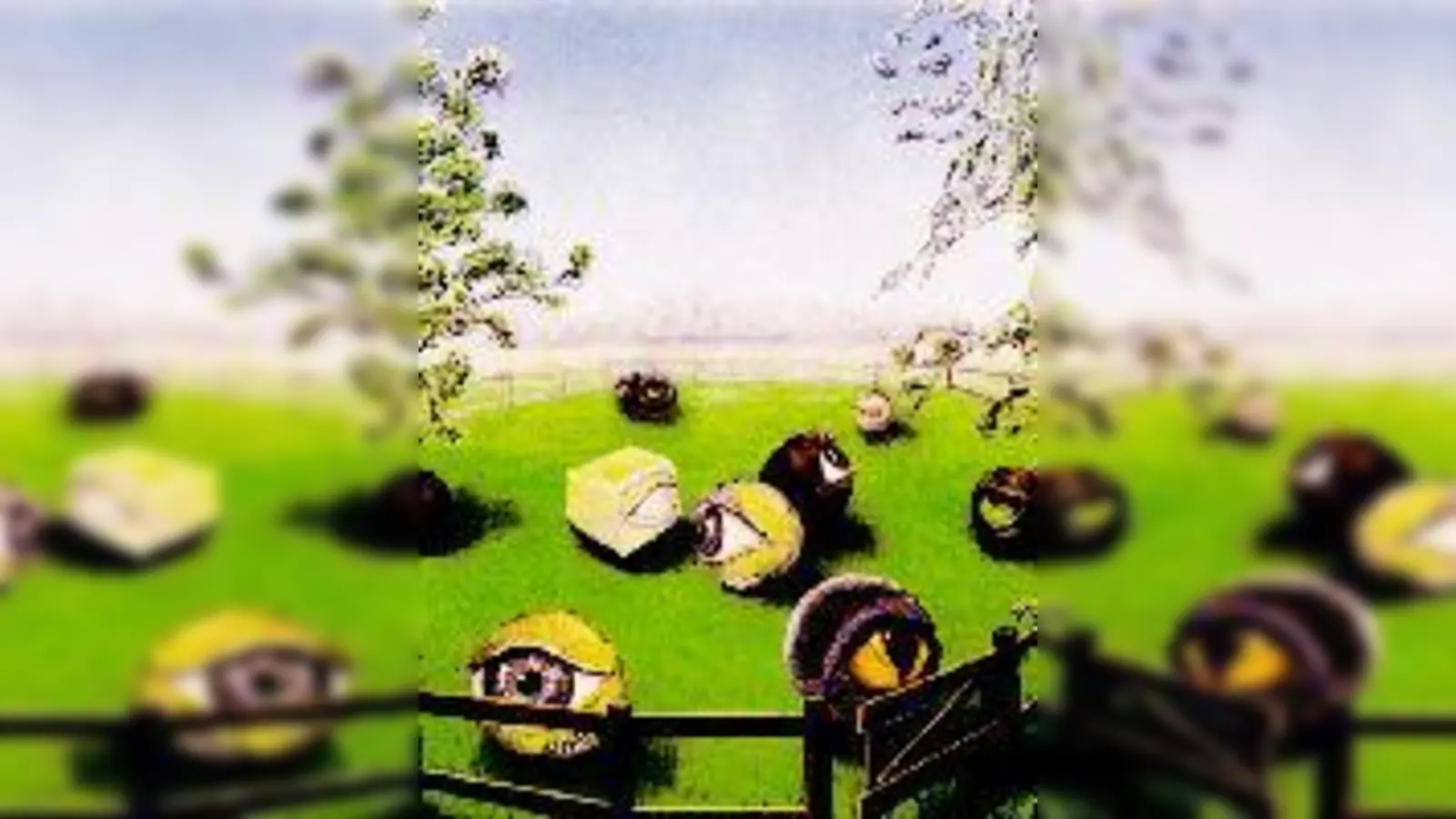 Augen-Weide von Wolny.	 (Foto: VA)