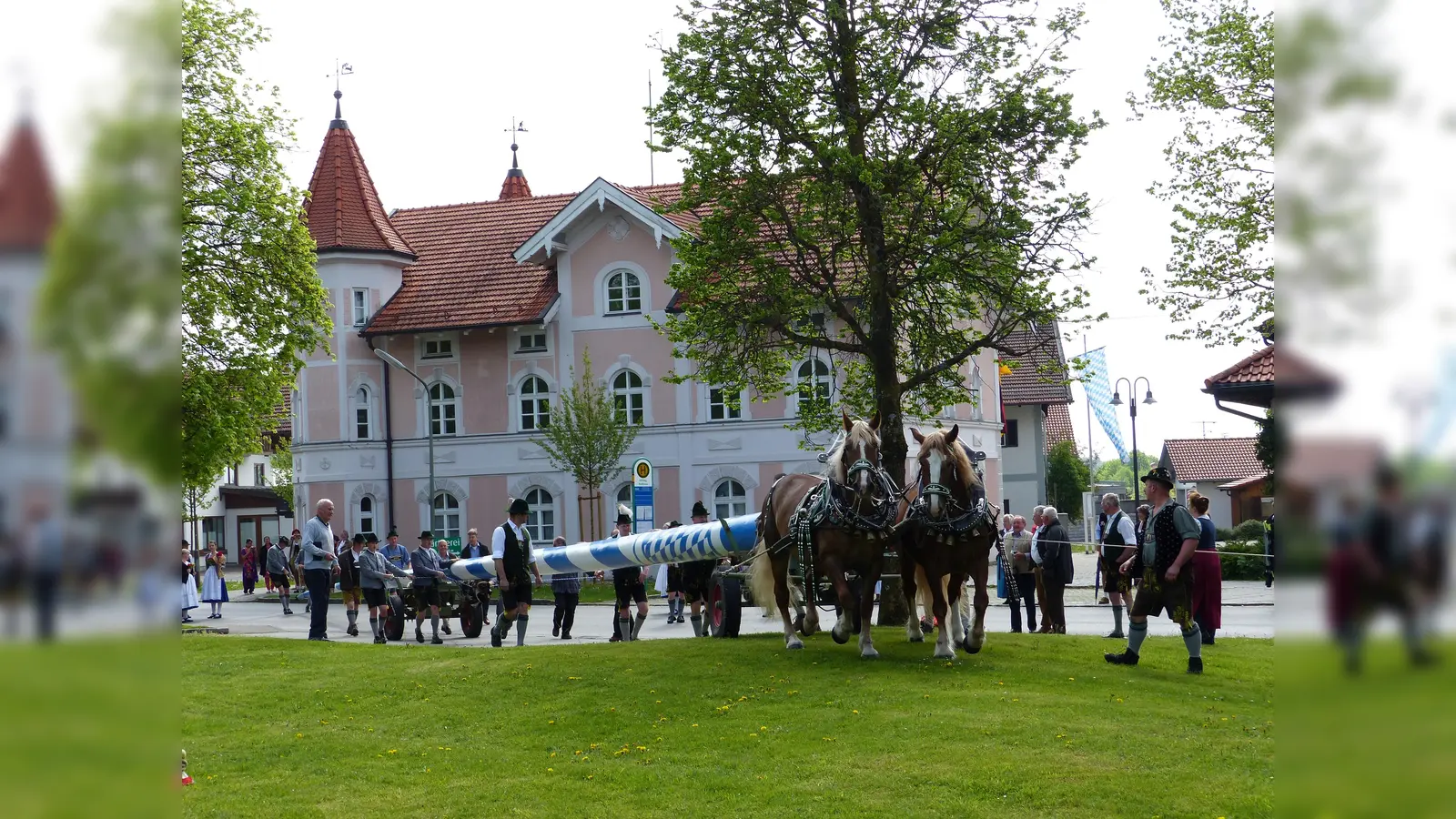 Sicherlich eine der schönsten Traditionen in Bayern: Auch die Aßlinger Trachtler stellen am Maifeiertag ab 11 Uhr ein weiß-blaues Traditionsstangerl auf. (Foto: Monika Schaecke)
