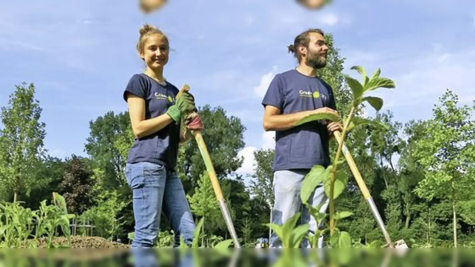 Gemeinsam säen und ernten: Urbanes Garteln liegt derzeit voll im Trend.  (Foto: Green City/Kerstin Stuiber)
