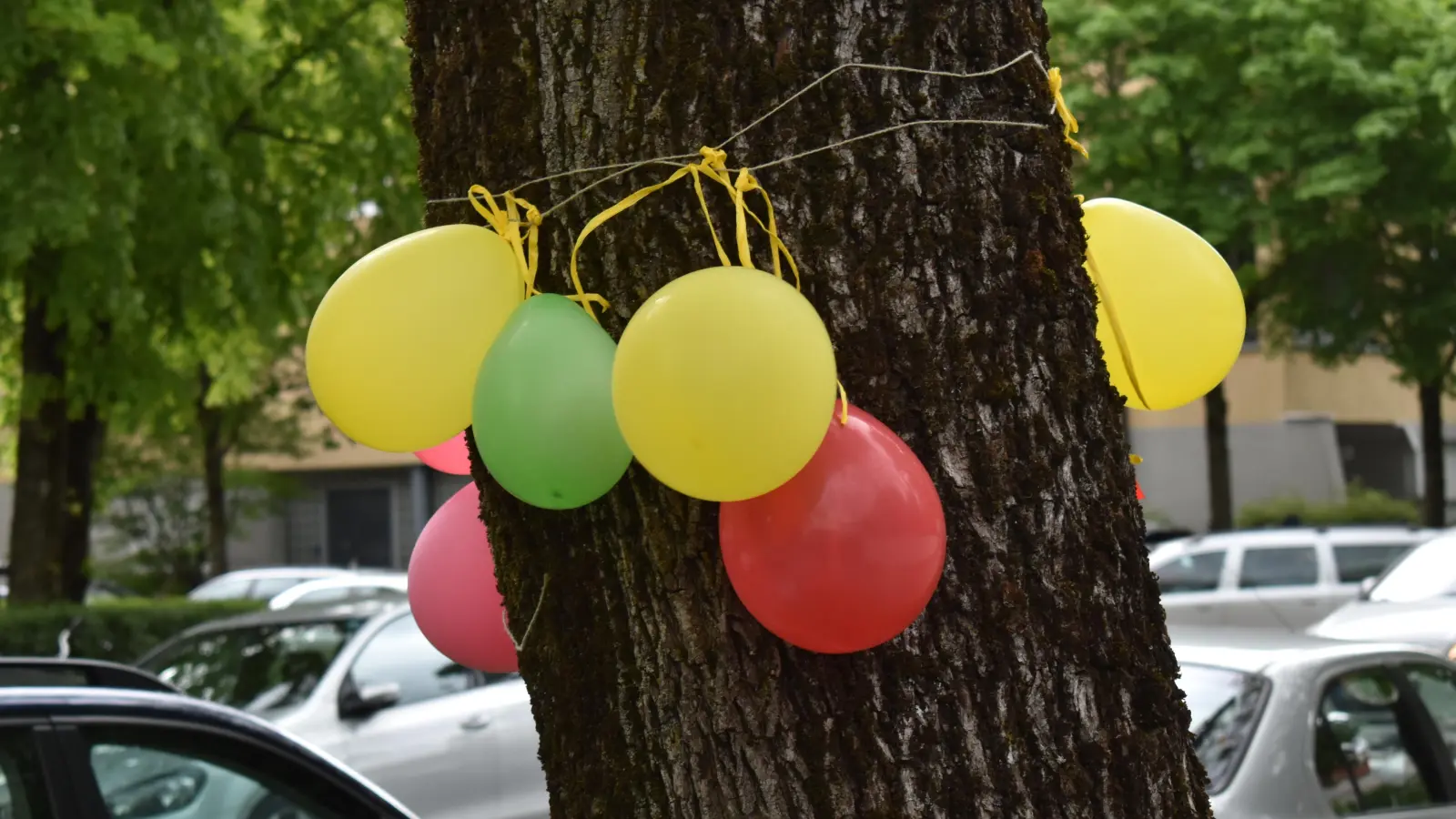 Bunte Luftballons weisen den Kauffreudigen den Weg zum nächsten Schnäppchenstandort. (Archivbild: dm)