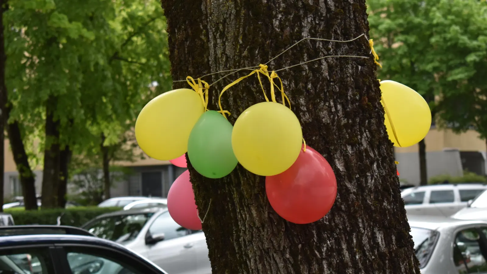 Wie gewohnt werden die teilnehmenden Adressen mit bunten Luftballons versehen. (Archivbild: dm)