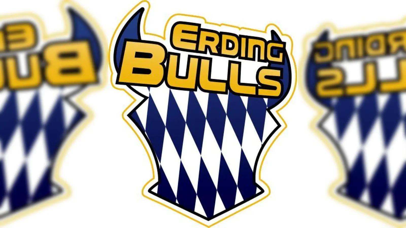 Die Erding Bulls siegten mit 27:21 gegen die Augsburg Raptors. Nun geht es in die Sommerpause.  (Logo: Verein)